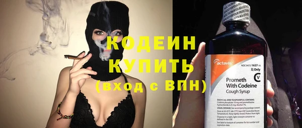 шишки Баксан