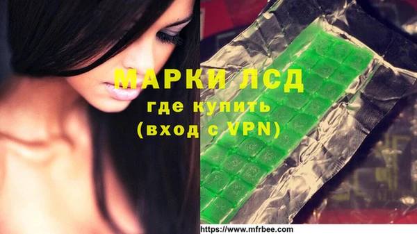 шишки Баксан
