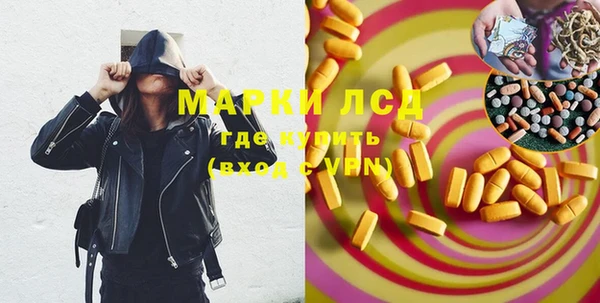 шишки Баксан
