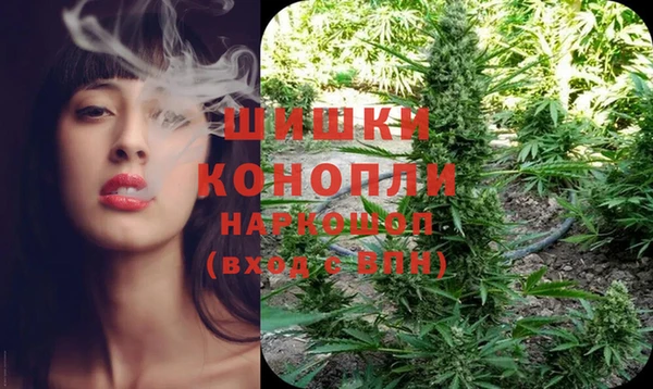 шишки Баксан