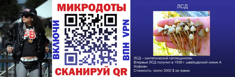 Купить где  Жигулёвск  Галлюциногенные грибы мицелий 