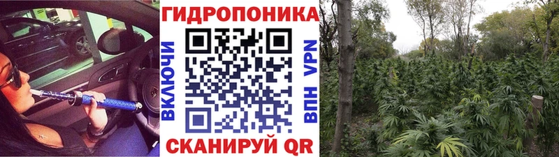 Купить где  Жигулёвск  Конопля OG Kush 